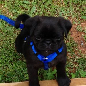 Meet your Posher, Darlene